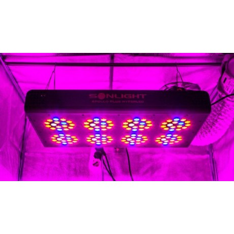 Led Apollo PLUS Hyperled Sonlight 8 (128x3w) 384W - Agro